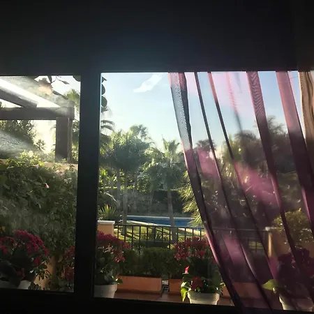 Banus Mimosa Paradise *