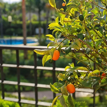 Banus Mimosa Paradise * Марбелья