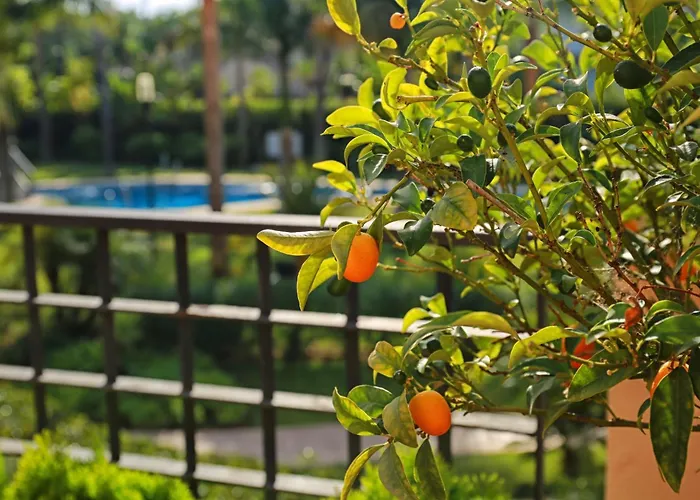 Banus Mimosa Paradise * ماربيا